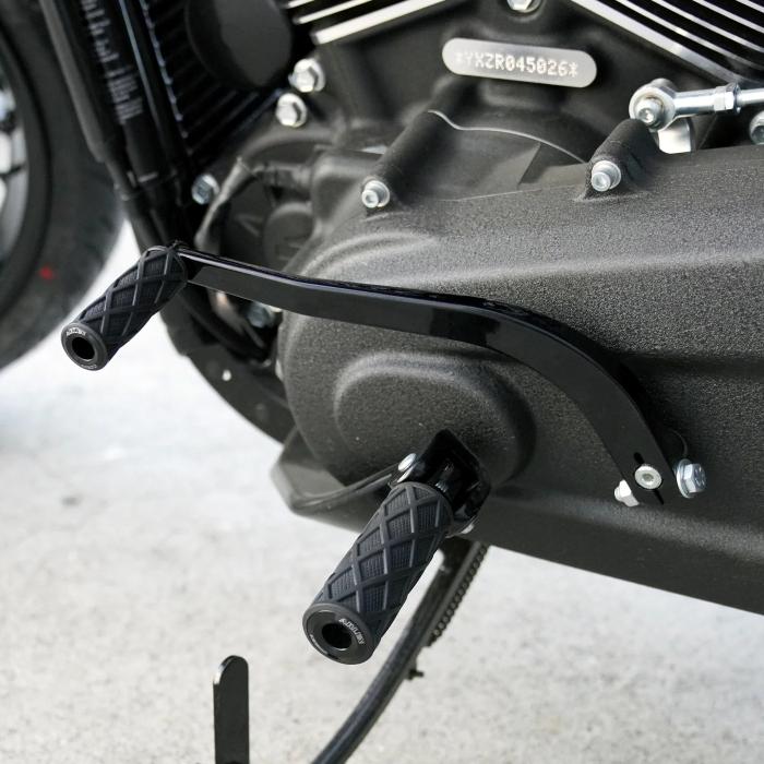 Harley Davidson（ハーレー・ダビッドソン） ARLEN NESS・DIAMOND・M8 