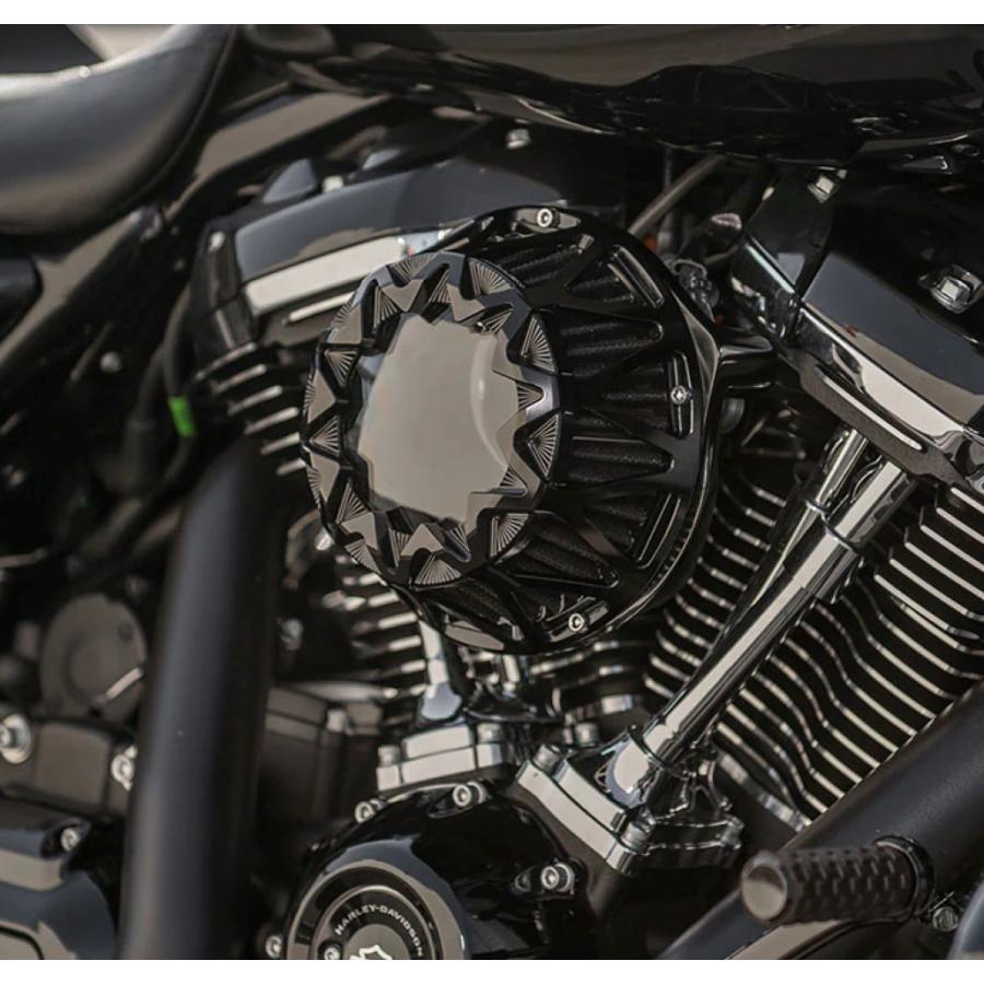 専用⑧ Harley Davidson（ハーレー・ダビッドソン） ARLEN NESS・XL スポーツ
