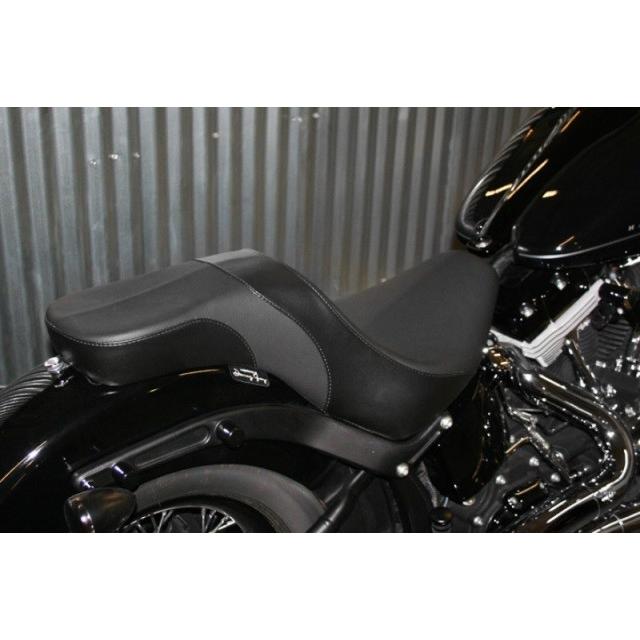 Harley Davidson（ハーレー・ダビッドソン） Danny Gray・FLS＆FXS