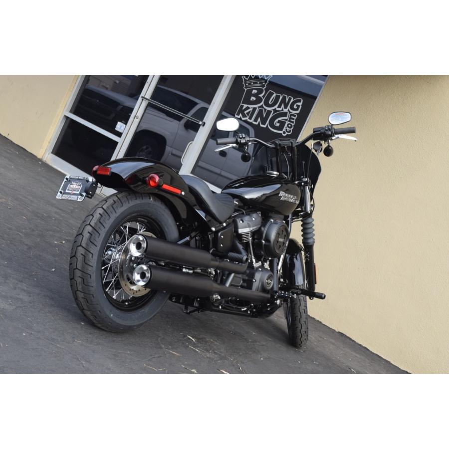SOFTAIL BANG KING・パッセンジャーペグ・フレームスライダー
