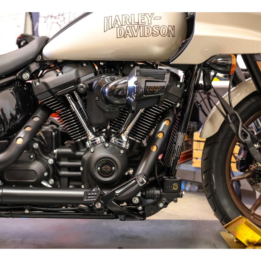 THRASHIN SUPPLY・M8ソフテイル・ビレットブレーキアーム ブラック TSC-2300-1 1610-0696 ハーレーの画像