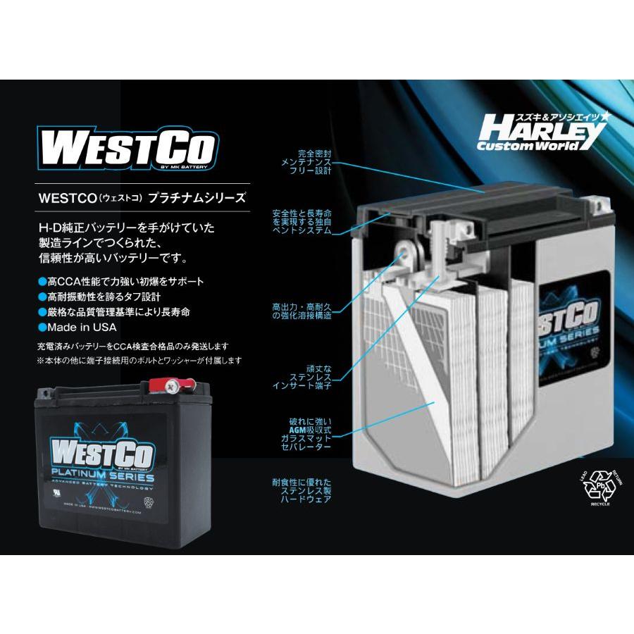 WESTCO・1991〜1996 ソフテイル＆ダイナ・プラチナムシリーズ AGM