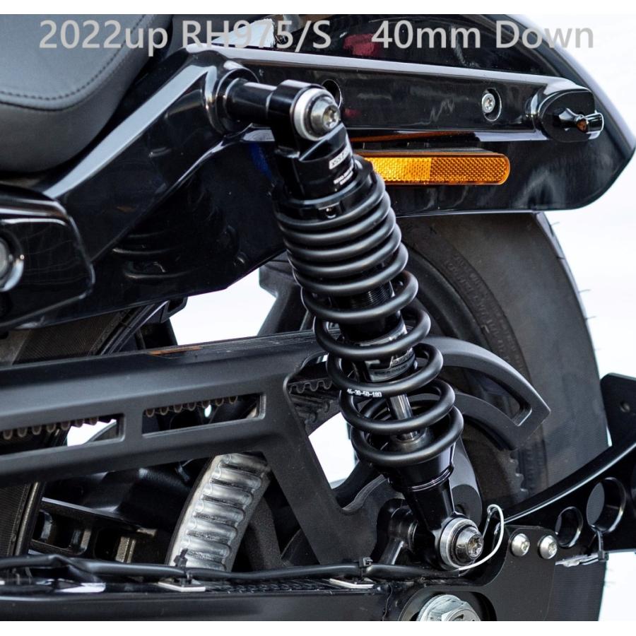 Harley Davidson（ハーレー・ダビッドソン） KIJIMA・2022up ナイト