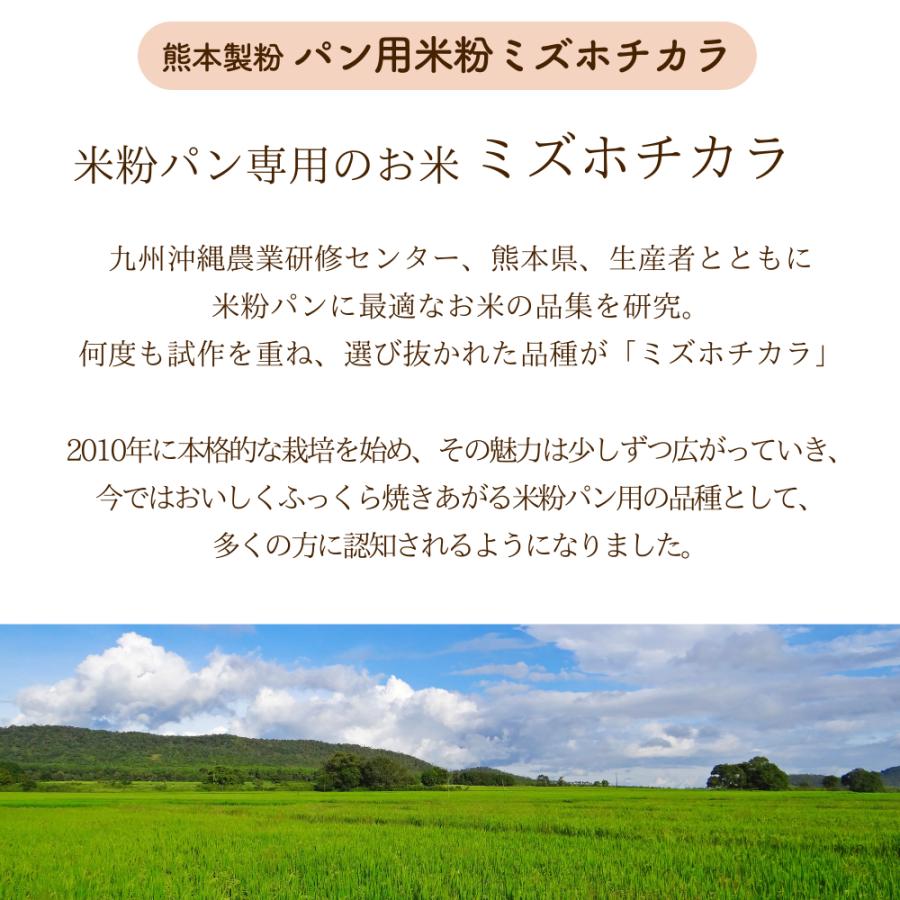 パン用米粉 ミズホチカラ 2K×6袋（送料無料）｜bears-shop｜03