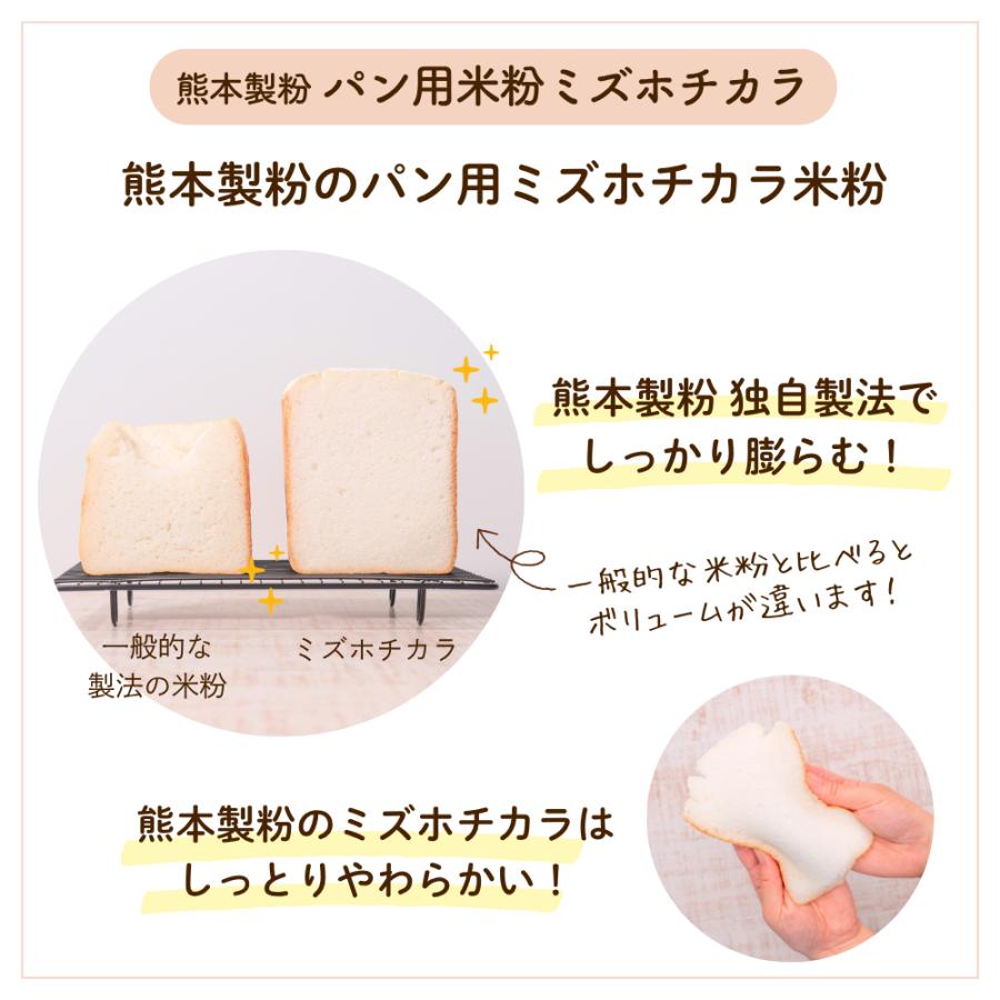 ミズホチカラ無農薬種籾 3kg 種籾 ミズホチカラ 登録品種 - 百笑米オンラインショップ