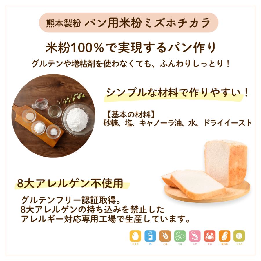 熊本製粉（Kumamoto Flour） グルテンフリーパン用米粉ミズホチカラ
