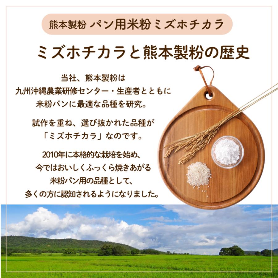 熊本製粉（Kumamoto Flour） グルテンフリーパン用米粉ミズホチカラ
