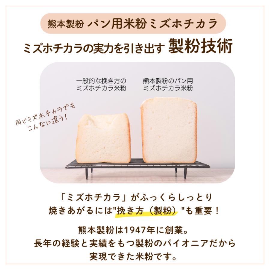 熊本製粉（Kumamoto Flour） グルテンフリーパン用米粉ミズホチカラ