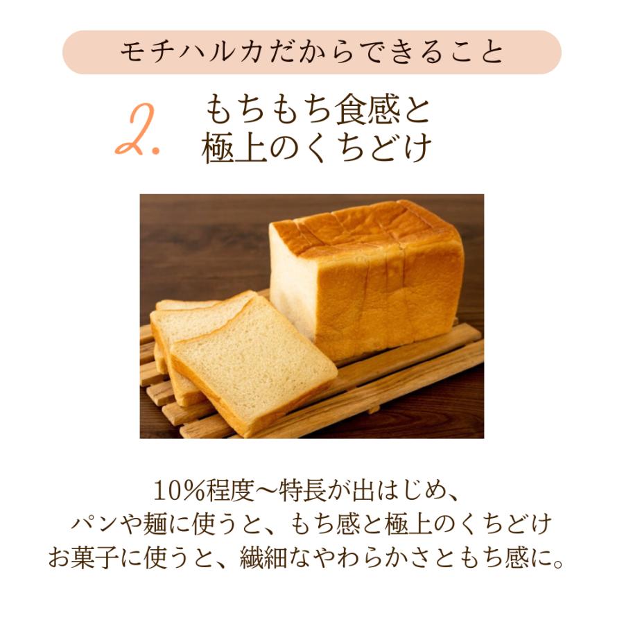 熊本製粉（Kumamoto Flour） もち小麦粉紺 九州産 強力 もち小麦 国産