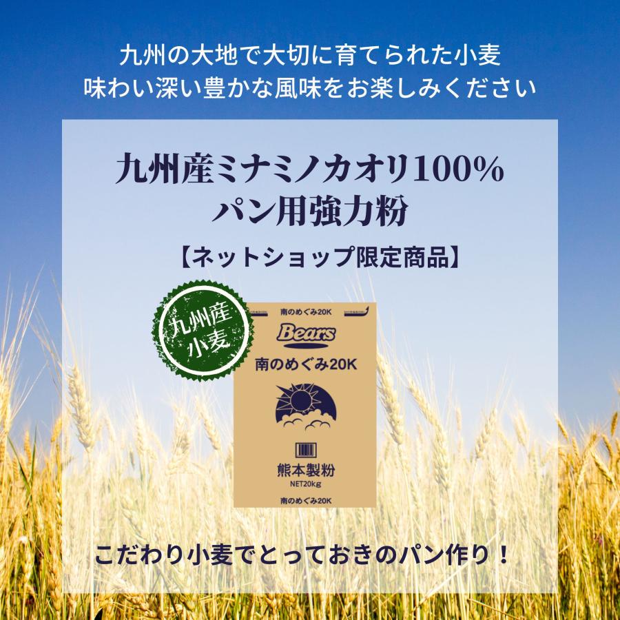 九州産小麦 強力粉 南のめぐみ 20kg（送料無料）国産 業務用 小麦粉｜bears-shop｜02
