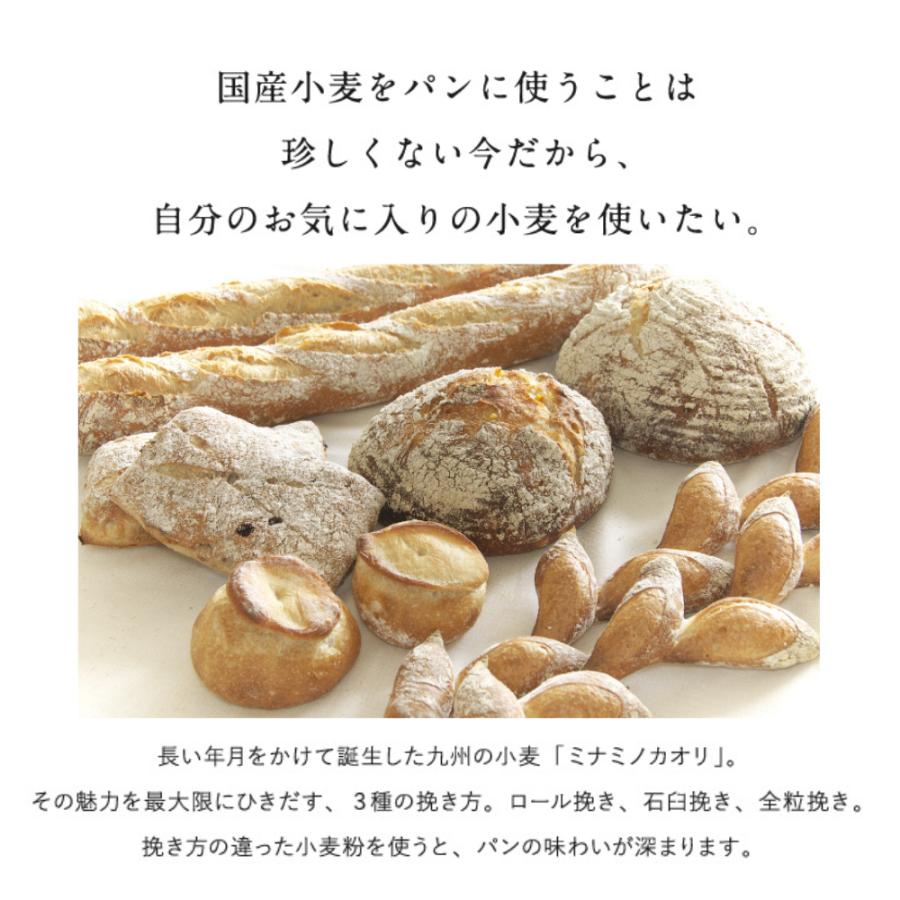 九州産小麦 強力粉 南のめぐみ 20kg（送料無料）国産 業務用 小麦粉｜bears-shop｜06
