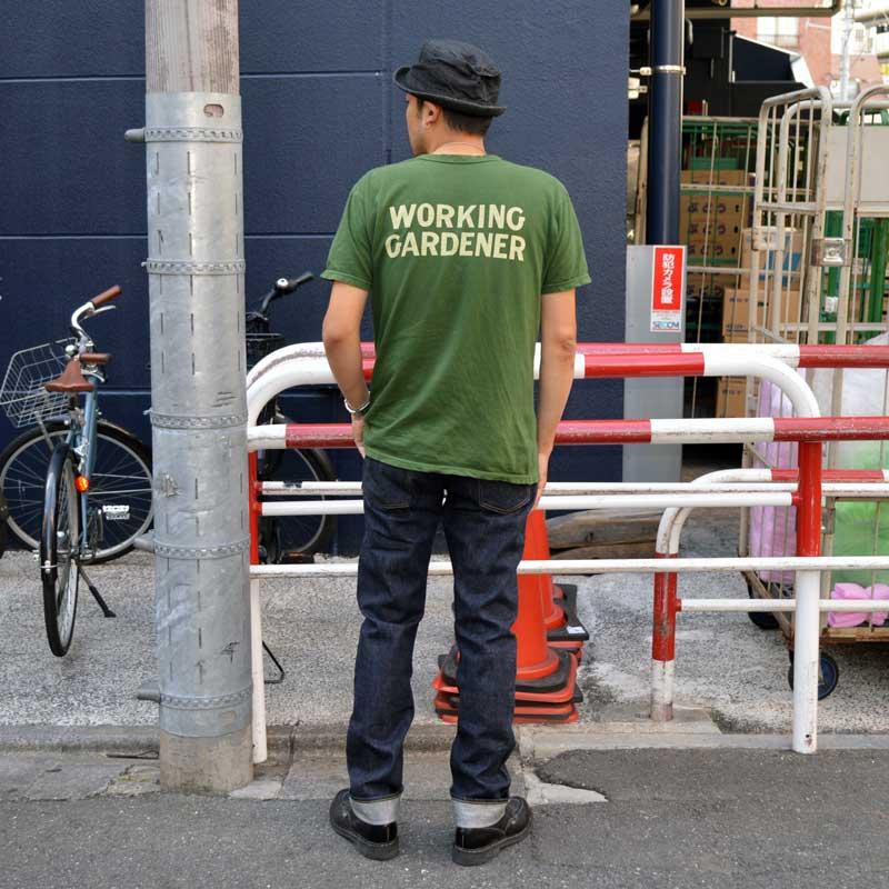 SUGAR CANE 東洋エンタープライズ、SUGAR CANE シュガーケーン SUGAR CANE 東洋エンタープライズ、SUGAR CANE シュガーケーン
