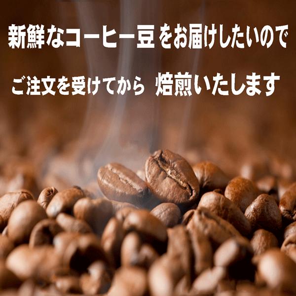bears coffee コーヒー豆ケニア マサイAA 200g コーヒー送料無料 コーヒー豆お試し コーヒー豆焙煎 サンプルコーヒー 激安コーヒー 高品質コーヒー |  | 07