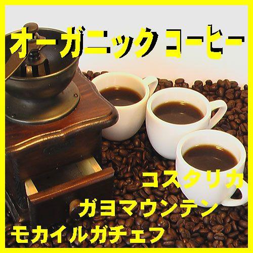 有機栽培コーヒー豆使用 ガヨマウンテン コスタリカ モカイルガチェフ 1kg 3種類 合計3kg