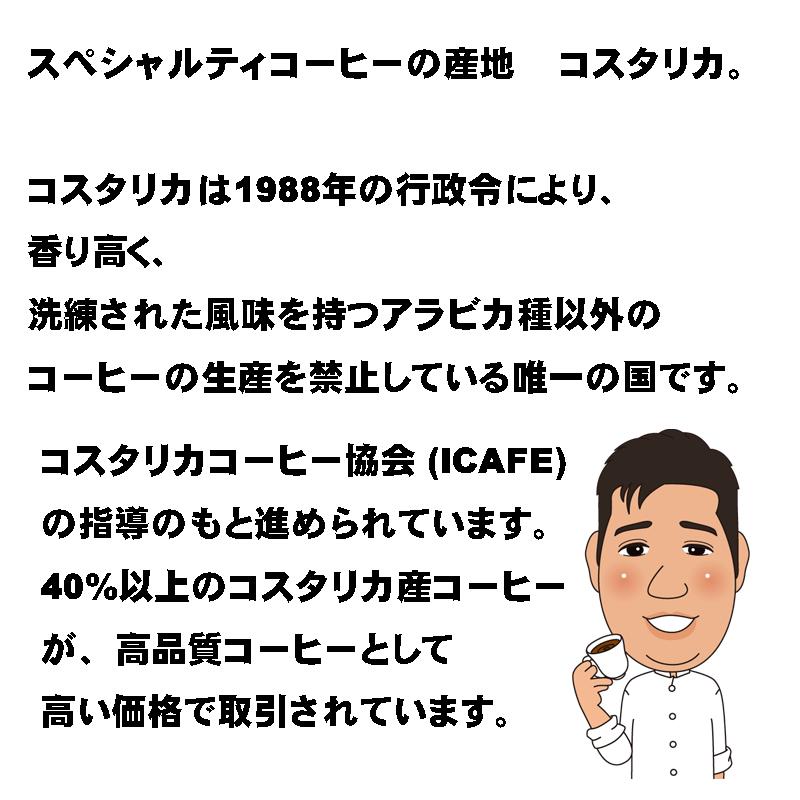 有機栽培コーヒー豆使用 ガヨマウンテン コスタリカ モカイルガチェフ 1kg 3種類 合計3kg_3