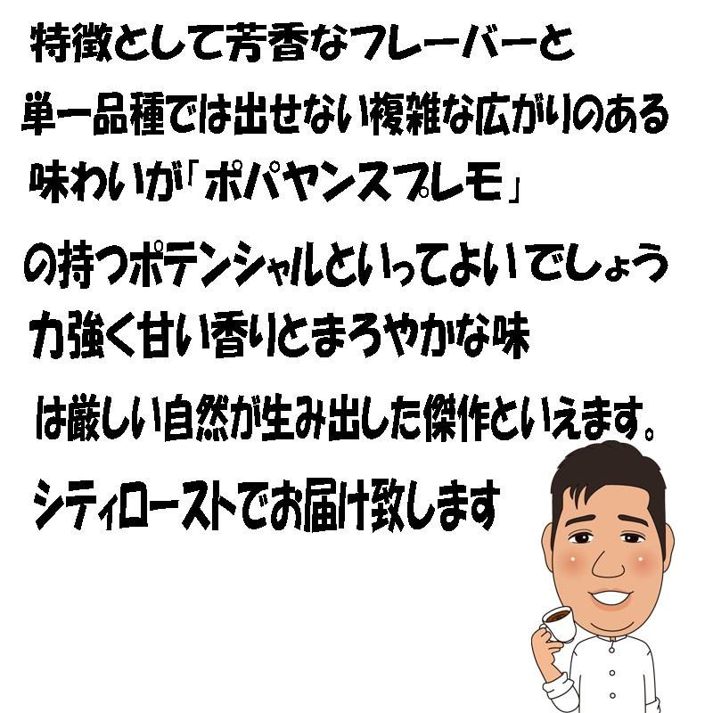 珈琲豆コロンビア スプレモ ポパヤン 300g コーヒー豆サンプル 人気に訳ありコーヒー豆｜bearscoffee｜02
