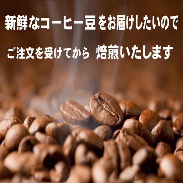 bears coffee コーヒー豆キリマンブレンド 100g コーヒー豆お試し コーヒー豆送料無料 サンプルコーヒー｜bearscoffee｜06