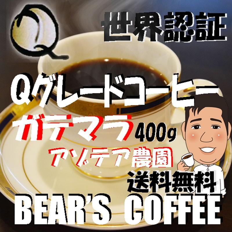 グァテマラ コーヒー豆ガテマラ アンティグア アゾテア農園 400g Qグレードコーヒー コーヒー半額   　｜bearscoffee