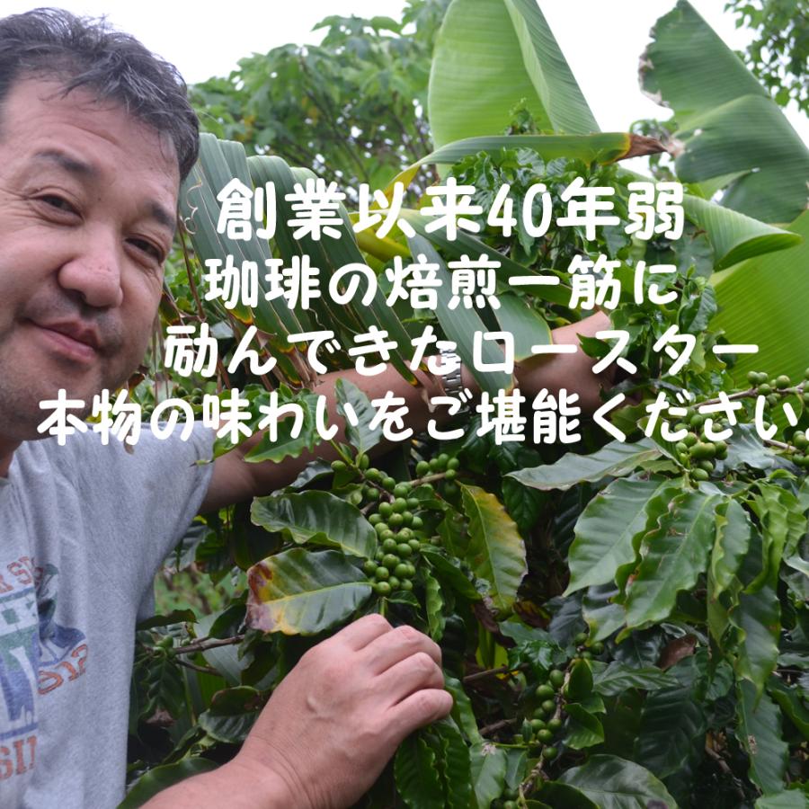 bearscoffee コーヒー豆ハワイコナ エクストラファンシー 100g コーヒー豆お試し コーヒー送料無料 メール便・代引き不可 |  | 04