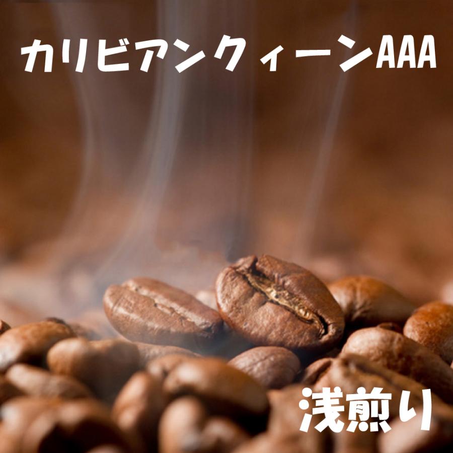 bears coffee コーヒー豆ドミニカ カリビアンクィーン 100g コーヒー送料無料 コーヒー豆半額 高品質コーヒー豆 | 