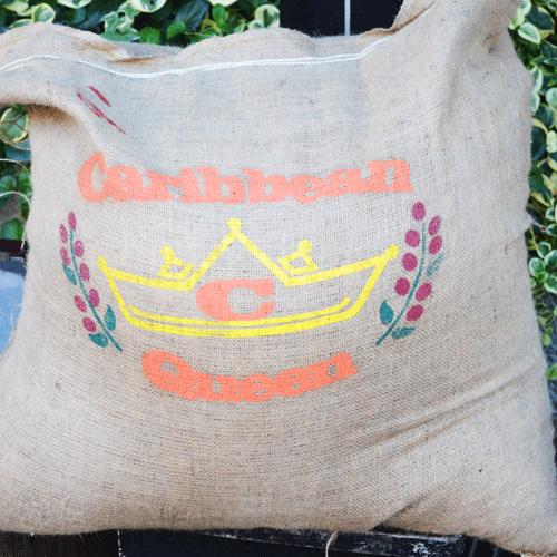 bears coffee コーヒー豆ドミニカ カリビアンクィーン 100g コーヒー送料無料 コーヒー豆半額 高品質コーヒー豆 |  | 01