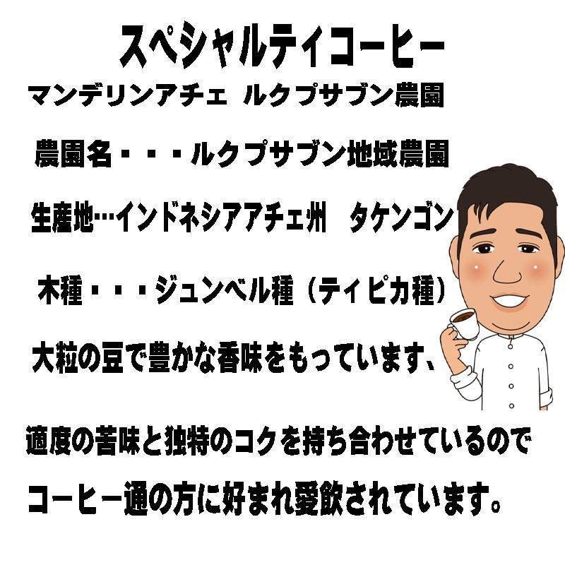 コーヒー豆お試し福袋 3種類×100g 3袋 コーヒー豆グアテマラ コーヒー豆キリマンジャロ コーヒー豆マンデリン 送料無料コーヒー |  | 06