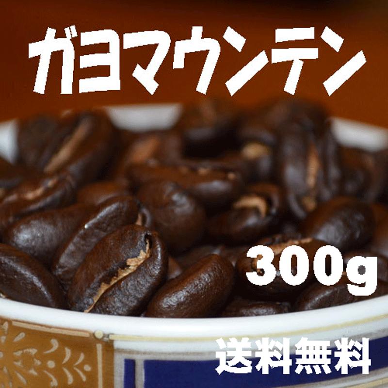 bears coffee コーヒー豆ガヨマウンテン 300g  人気に訳あり珈琲 送料無料コーヒー | 