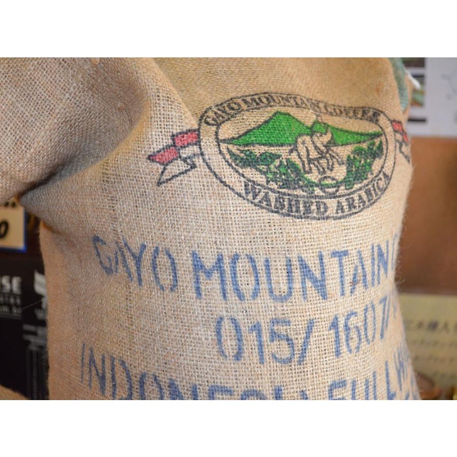 bears coffee コーヒー豆ガヨマウンテン 300g  人気に訳あり珈琲 送料無料コーヒー |  | 01