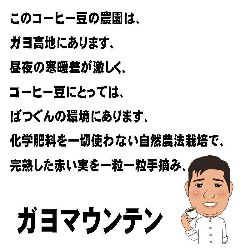bears coffee コーヒー豆ガヨマウンテン 300g  人気に訳あり珈琲 送料無料コーヒー |  | 04
