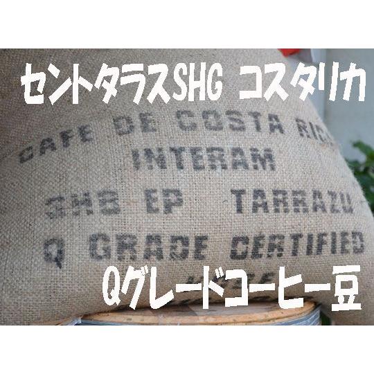 bears coffee Qグレードコーヒー　コーヒー豆コタリカ 200ｇ コーヒー送料無料 高級コーヒー豆 高品質コーヒー | 