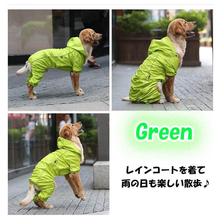 わけあり 犬用 レインコート Lサイズ グリーン ペット用品 イッヌ 雨具 