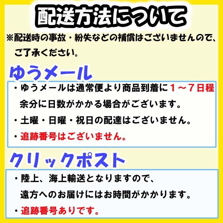 シリンジ インジェクター 注射器 ガラス製 ロック型 1ml 硝子 実験