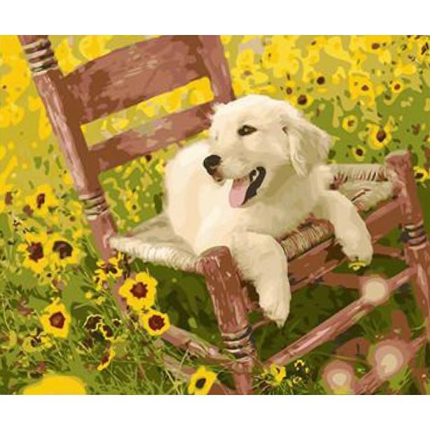 国内発送 フレームなし 数字塗り絵 セット 大人の塗り絵 絵の具付き 犬 花 インテリア 絵画 ジグソーパズル 油絵風 こども E680 Pjkfk5wmwd Bears House ヤフー店 通販 Yahoo ショッピング