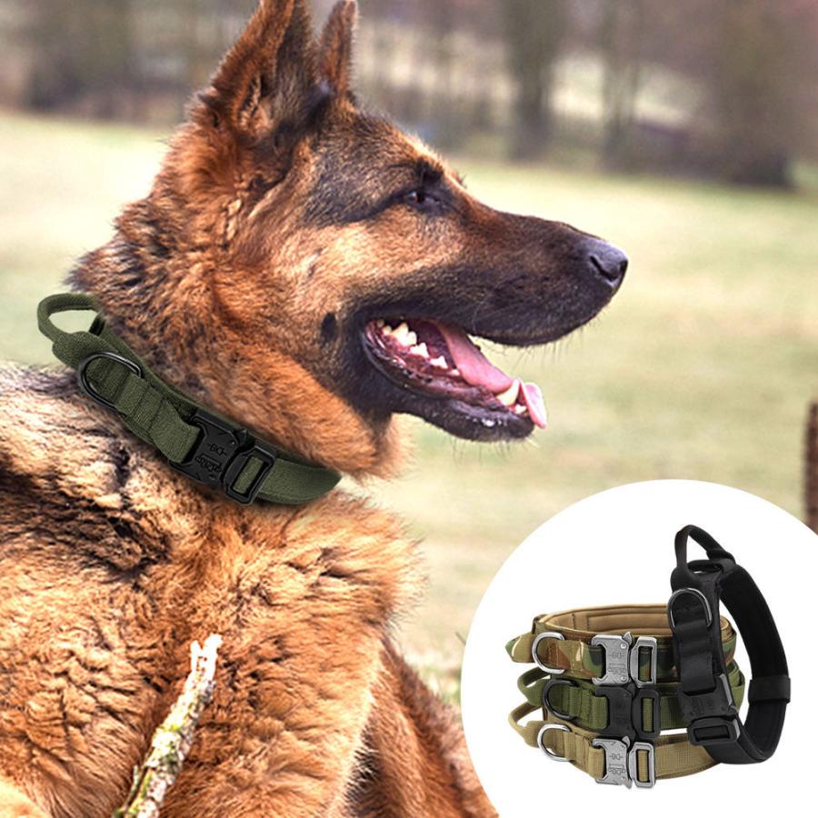 犬用首輪 4カラー Xlサイズ カッコイイ 大型犬に似合う マジックテープ 散歩 素敵 Ywc155 Xl Bears House ヤフー店 通販 Yahoo ショッピング