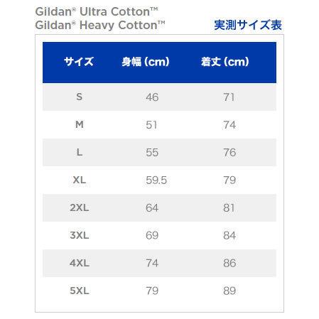 Sサイズ]NIRVANA カート・コバーン エド・シーラン着用 Flipper