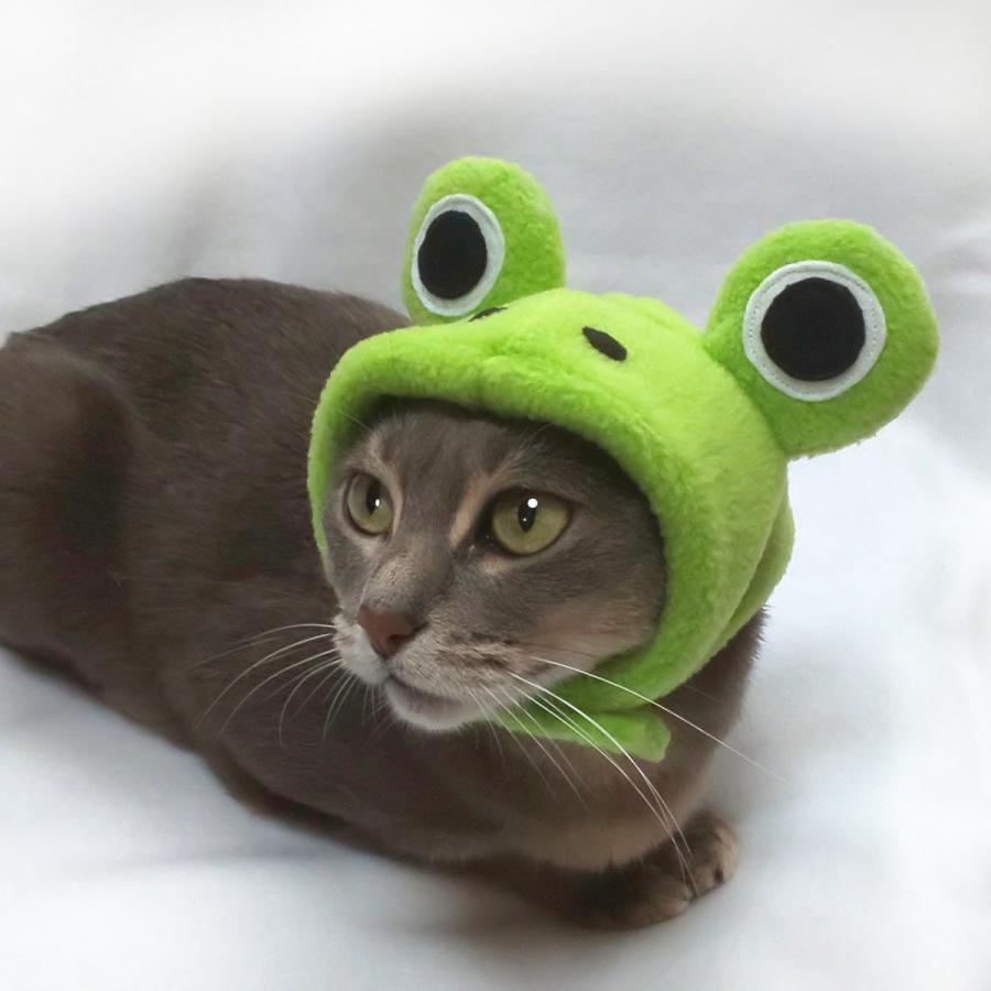 犬猫用コスプレ カエルのかぶりもの 帽子 変身 ペット用 Bsb02 0007 Beatitudo 通販 Yahoo ショッピング