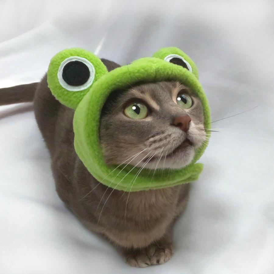 犬猫用コスプレ カエルのかぶりもの（帽子） 変身 ペット用