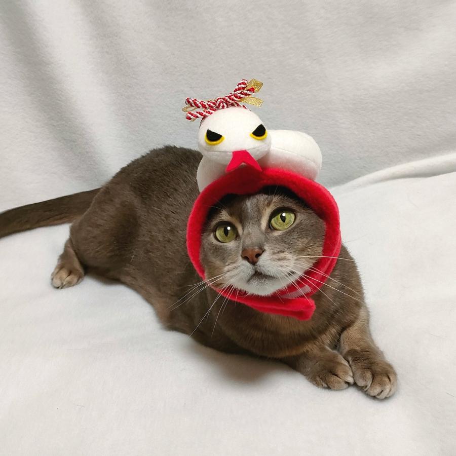 犬猫用　干支の被り物セット Amazon | 2026年 令和8年度 干支 犬猫用コスプレ 馬のかぶりもの