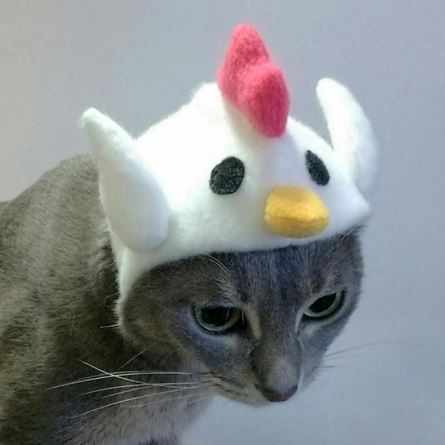 犬猫用コスプレ ニワトリのかぶりもの 帽子 変身 ペット用 Bsb02 0014 Beatitudo 通販 Yahoo ショッピング