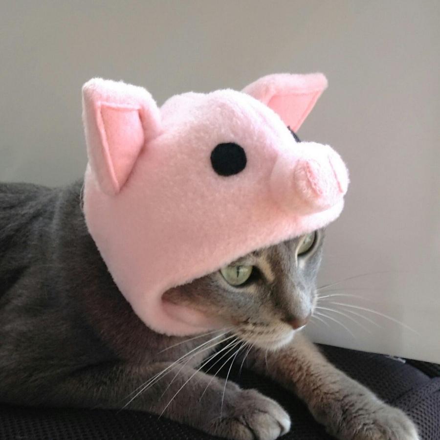 犬猫用コスプレ ブタのかぶりもの 帽子 変身 ペット用 Bsb02 00 Beatitudo 通販 Yahoo ショッピング