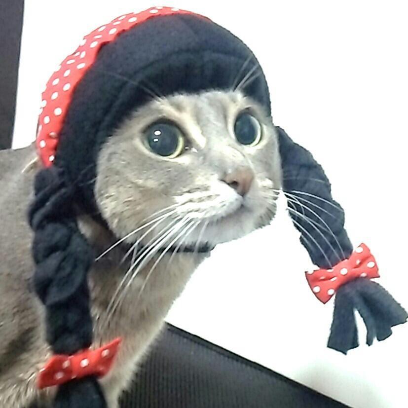 犬猫用コスプレ おさげ（三つ編み）のかぶりもの（帽子） 変身