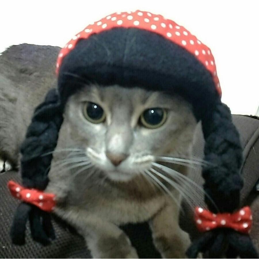 犬猫用コスプレ おさげ 三つ編み のかぶりもの 変身 ペット用 帽子 18 Off