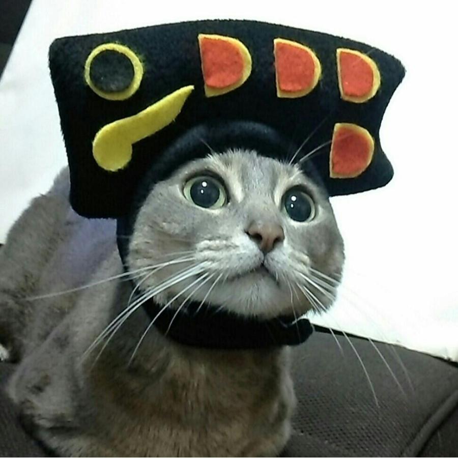 こどもの日 鯉のぼり（黒）のかぶりもの（帽子） : Beatitudo - 通販