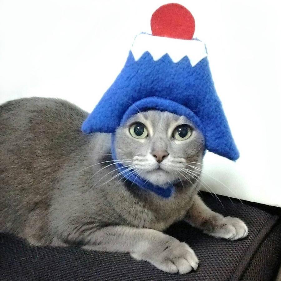 犬猫用コスプレ 富士山のかぶりもの 帽子 変身 ペット用 Bsb02 0067 Beatitudo 通販 Yahoo ショッピング