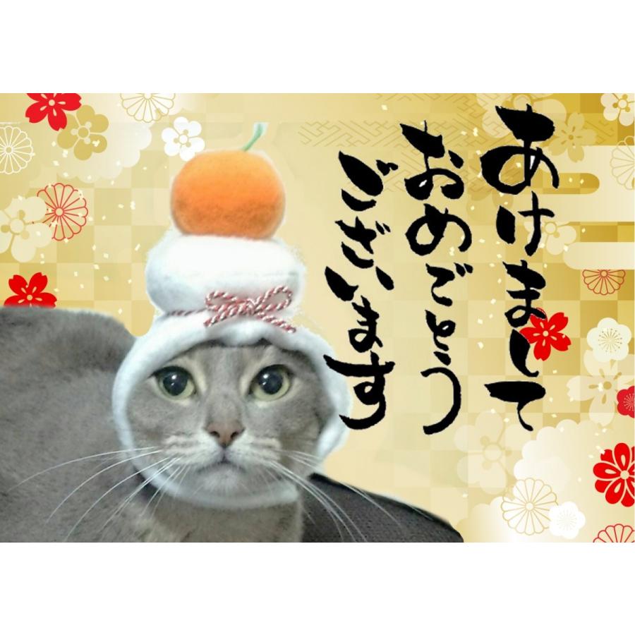 犬猫用コスプレ 鏡餅のかぶりもの 帽子 変身 ペット用 Bsb02 0068 Beatitudo 通販 Yahoo ショッピング