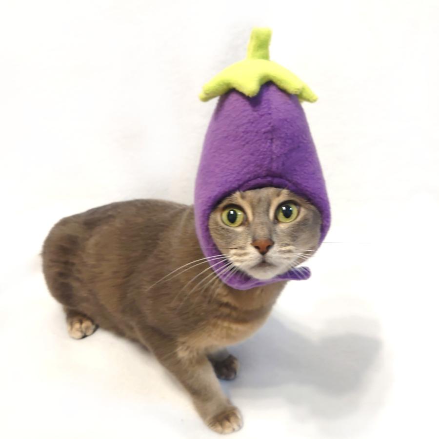犬猫用コスプレ ナスのかぶりもの（帽子） 変身 ペット用 : Beatitudo