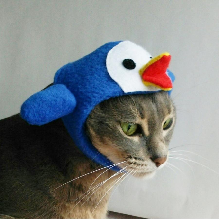 犬猫用コスプレ ペンギンのかぶりもの 帽子 変身 ペット用 Bsb05 0005 Beatitudo 通販 Yahoo ショッピング