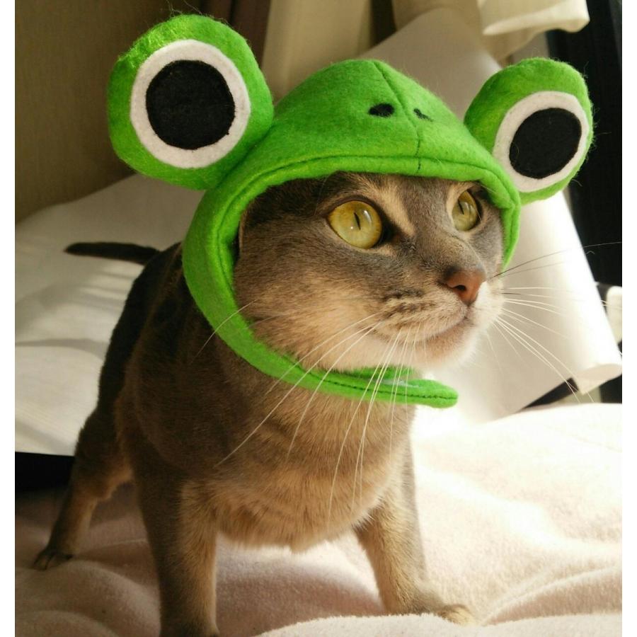 犬猫用コスプレ カエルのかぶりもの（帽子） 変身 ペット用 