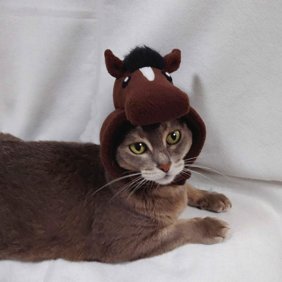 2026年 令和8年度 干支 犬猫用コスプレ 馬のかぶりもの（帽子） 変身