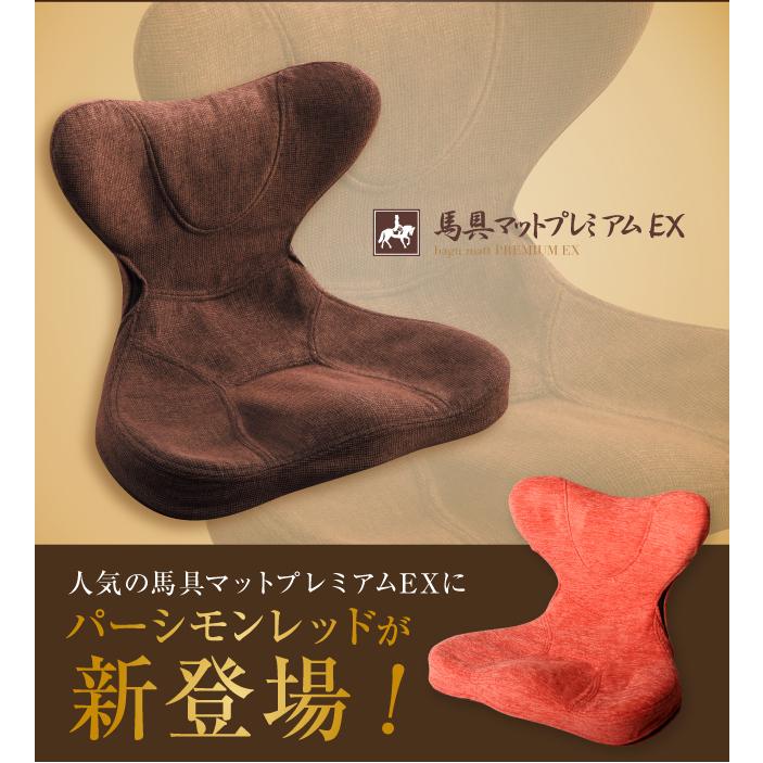 馬具マットプレミアムEX 姿勢 腰痛 肩甲骨 骨盤矯正 美バランス 猫背 いす 馬具マットプレミアムEX 姿勢 腰痛 肩甲骨 骨盤矯正 美バランス 猫背